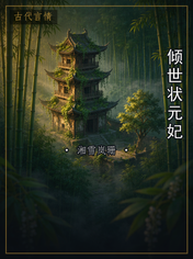 倾世状元妃