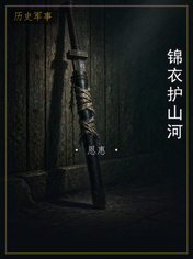 锦衣护山河