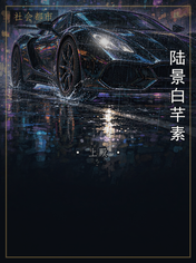 陆景白芊素