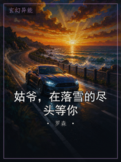 姑爷,在落雪的尽头等你