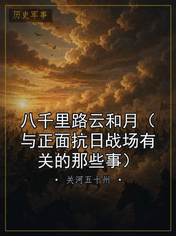 八千里路云和月（与正面抗日战场有关的那些事）