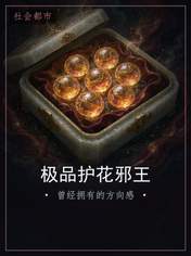 极品护花邪王