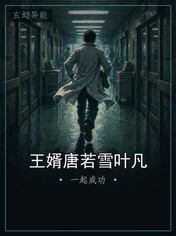 王婿唐若雪叶凡