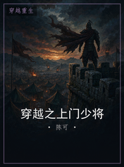 穿越之上门少将