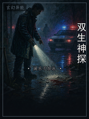 双生神探