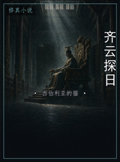 齐云探日