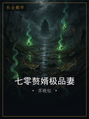七零赘婿极品妻