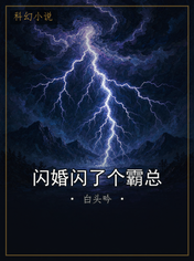 闪婚闪了个霸总