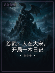 综武：人在大宋，开局一本日记