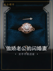 傲娇老公的闪婚妻