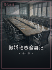 傲娇陆总追妻记