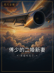 傅少的二婚新妻