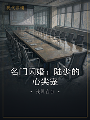 名门闪婚:陆少的心尖宠