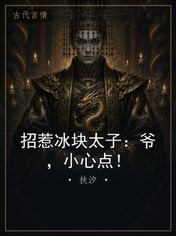 招惹冰块太子:爷,小心点!