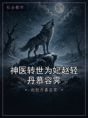 神医转世为妃赵轻丹慕容霁