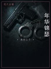 年华锦瑟