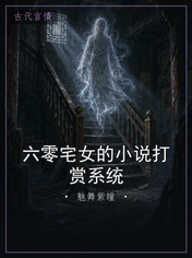 六零宅女的小说打赏系统