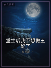 重生后我不想做王妃了