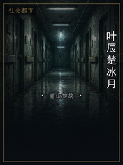 叶辰楚冰月