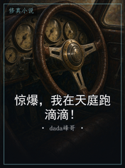 惊爆，我在天庭跑滴滴！