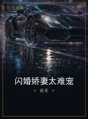 闪婚娇妻太难宠