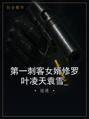 第一刺客女婿修罗叶凌天袁雪_