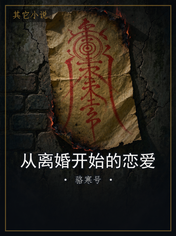 从离婚开始的恋爱