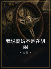 我说离婚不是在胡闹