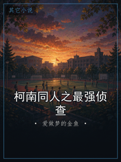 柯南同人之最强侦查
