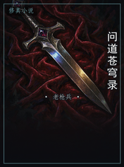 问道苍穹录