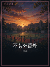 不装B+番外