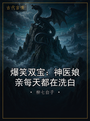 爆笑双宝:神医娘亲每天都在洗白