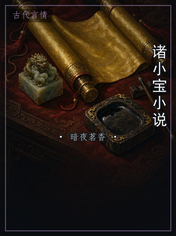 诸小宝小说