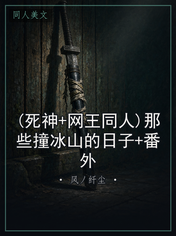 (死神+网王同人)那些撞冰山的日子+番外