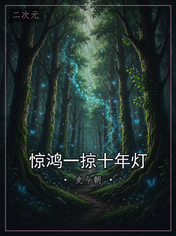 惊鸿一掠十年灯