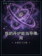 我的丹炉能当导弹用