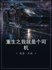 重生之我就是个司机