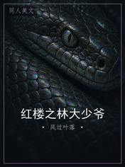 红楼之林大少爷