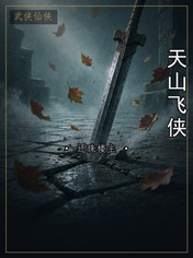 天山飞侠