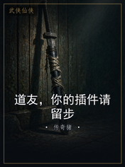 道友,你的插件请留步