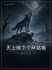 天上掉下个林姑娘