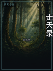 走天录