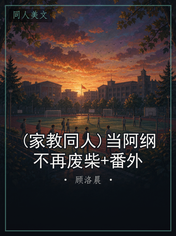 (家教同人)当阿纲不再废柴+番外