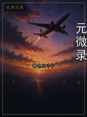 元微录