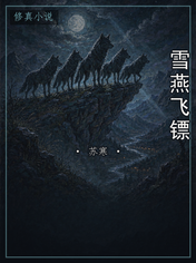 雪燕飞镖