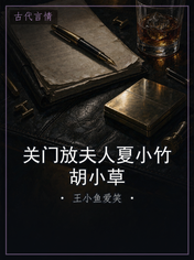 关门放夫人夏小竹胡小草