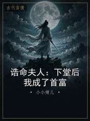 诰命夫人：下堂后我成了首富