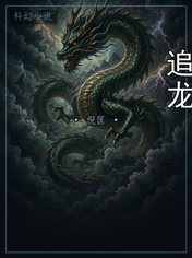 追龙
