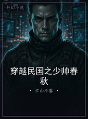 穿越民国之少帅春秋