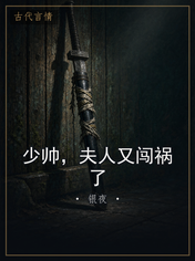 少帅,夫人又闯祸了